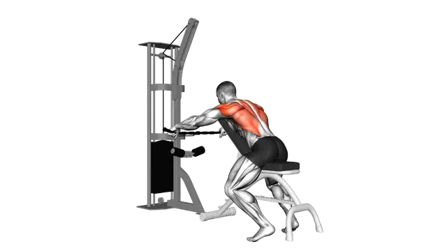 Cable Decline Seated Wide grip Row exercise demonstration