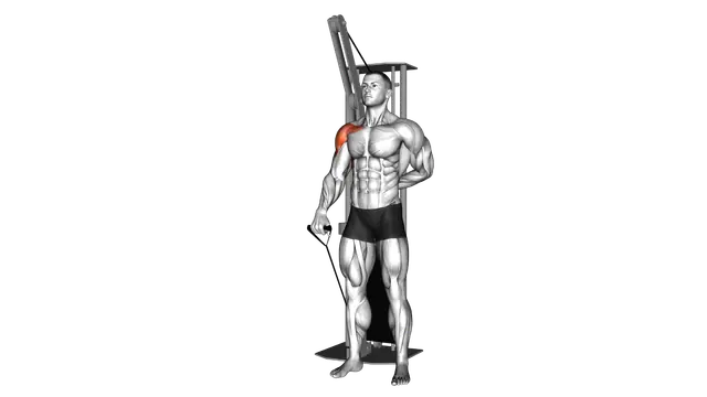 Cable Forward Raise exercise demonstration