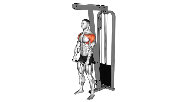 Cable Front Raise exercise demonstration