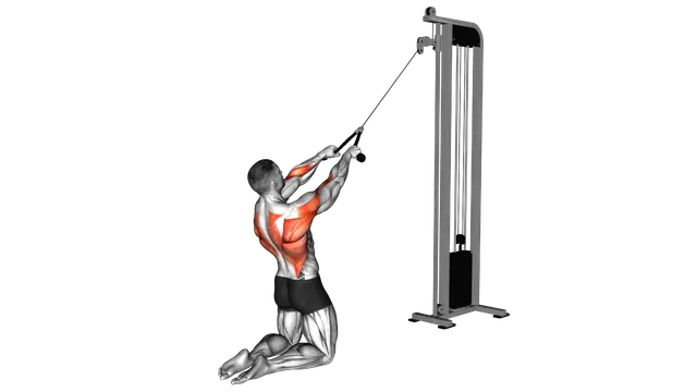 Cable High Row (kneeling rope attachment) exercise demonstration