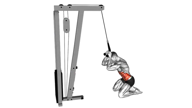Cable Kneeling Crunch exercise demonstration
