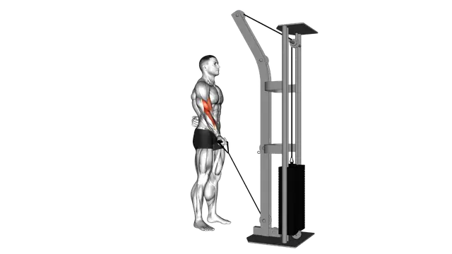 Cable One Arm Curl exercise demonstration