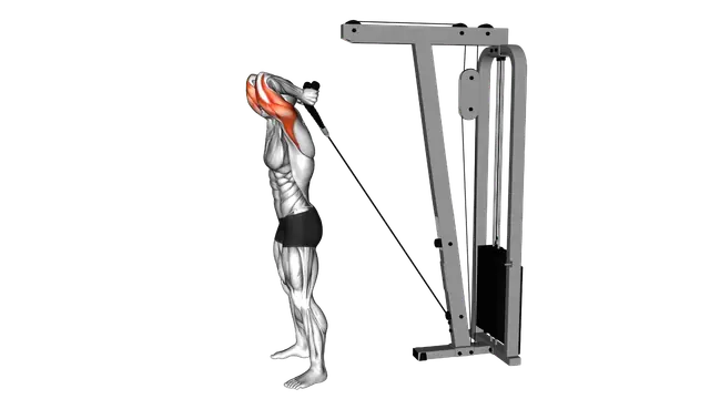 Cable Overhead Triceps Extension (rope attachment) exercise demonstration