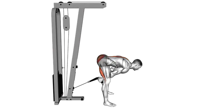 Cable Pull Through (with rope) exercise demonstration