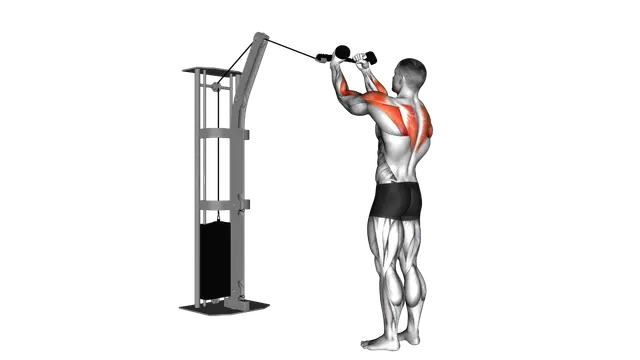 Cable Rear Delt Row (with rope) exercise demonstration