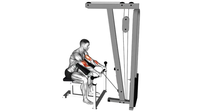 Cable Reverse Preacher Curl exercise demonstration