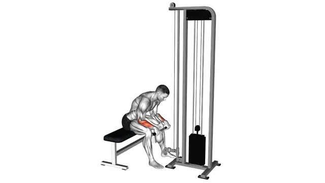 Cable Reverse Wrist Curl exercise demonstration