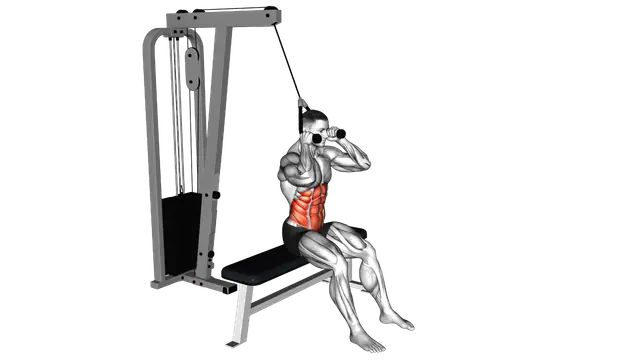 Cable Seated Crunch exercise demonstration
