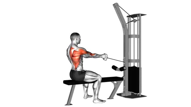 Cable Seated One Arm Alternate Row exercise demonstration