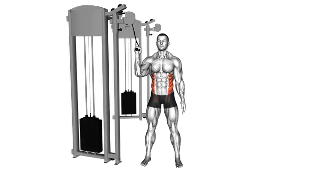 Cable Side Crunch exercise demonstration
