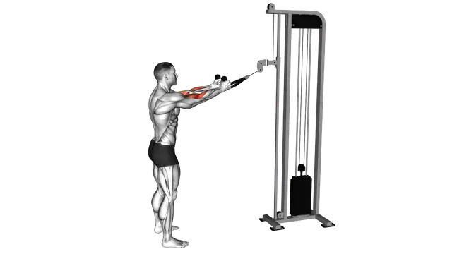 Cable Standing Pulldown (with rope) exercise demonstration