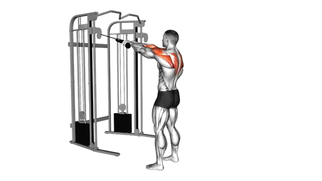 Cable Standing Rear Delt Row (with rope) exercise demonstration