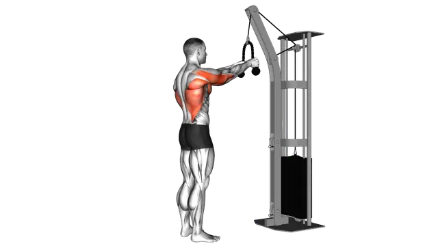 Cable Straight Arm Pulldown (with rope) exercise demonstration