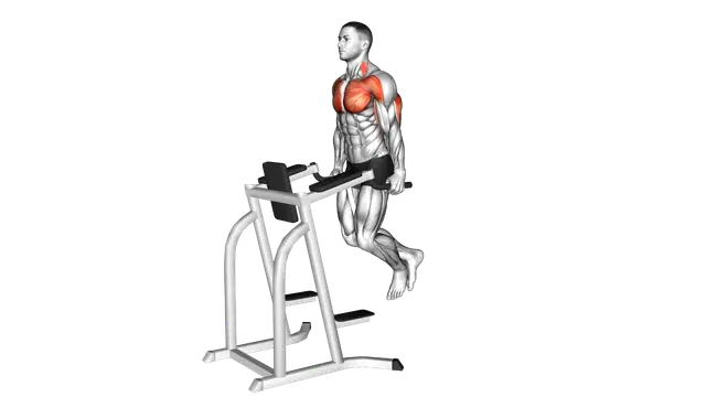 Chest Dip exercise demonstration
