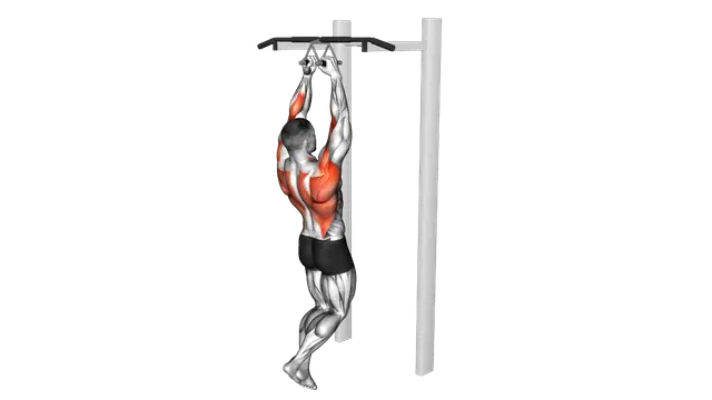 Chin ups (narrow parallel grip) exercise demonstration
