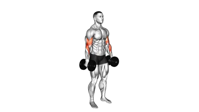 Dumbbell Alternate Biceps Curl exercise demonstration