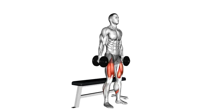 Dumbbell Bench Squat exercise demonstration