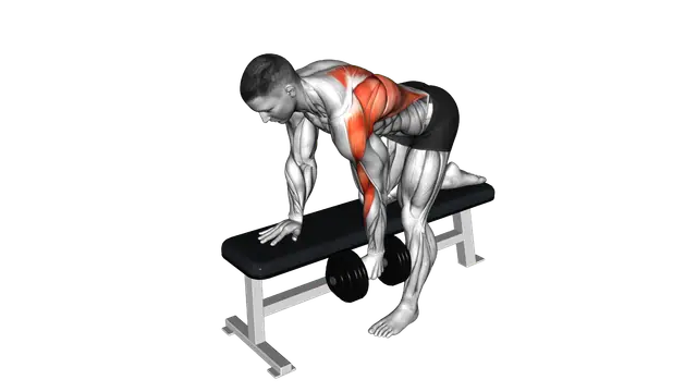 Dumbbell Bent over Row exercise demonstration