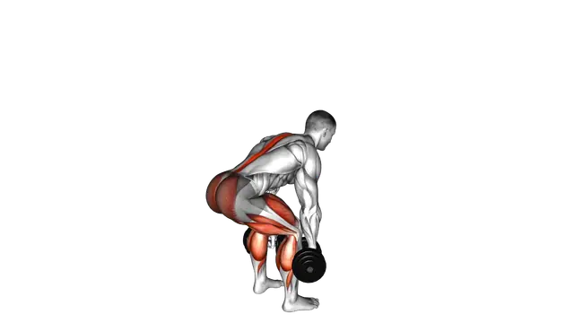Dumbbell Deadlift exercise demonstration