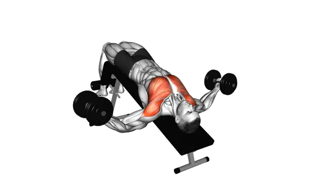 Dumbbell Decline Fly exercise demonstration