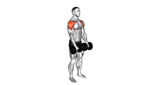 Dumbbell Front Raise exercise demonstration