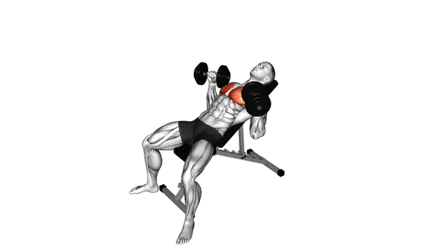 Dumbbell Incline Bench Press exercise demonstration