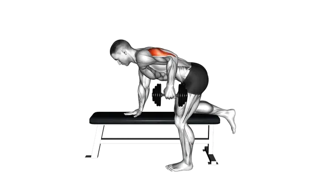 Dumbbell Kickback exercise demonstration
