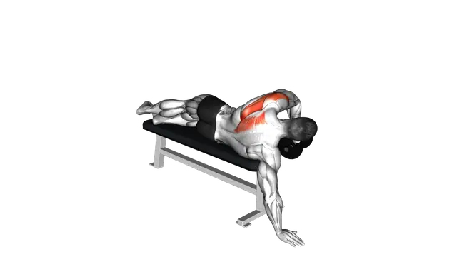 Dumbbell Lying One Arm Deltoid Rear exercise demonstration