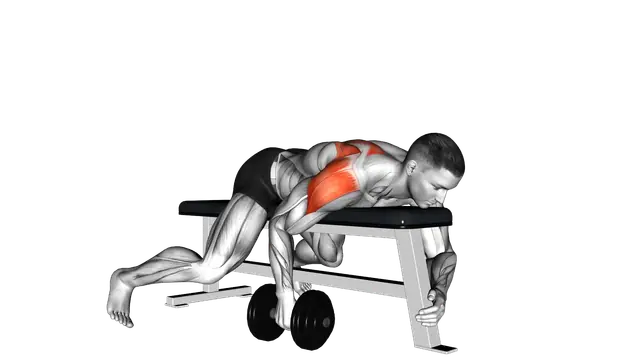Dumbbell Lying One Arm Rear Lateral Raise exercise demonstration