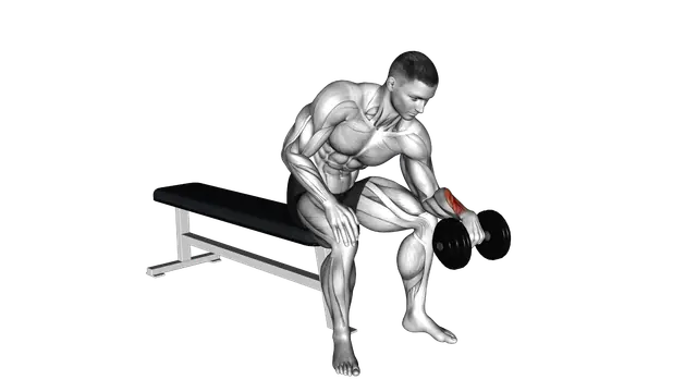 Dumbbell One arm Revers Wrist Curl exercise demonstration