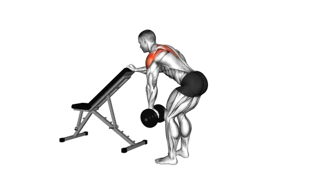 Dumbbell One Arm Reverse Fly (with support) exercise demonstration