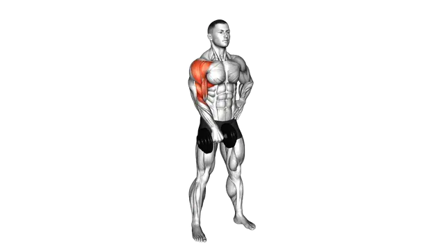 Dumbbell One Arm Upright Row exercise demonstration