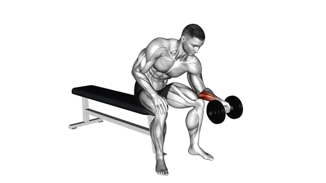Dumbbell One arm Wrist Curl exercise demonstration