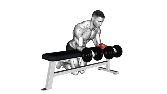 Dumbbell Over Bench Revers Wrist Curl exercise demonstration