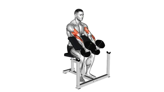 Dumbbell Peacher Hammer Curl exercise demonstration
