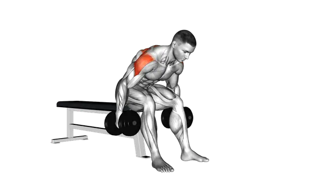 Dumbbell Rear Fly exercise demonstration