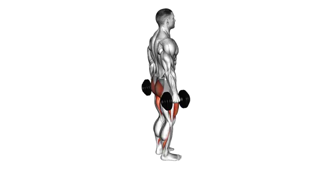 Dumbbell Rear Lunge exercise demonstration