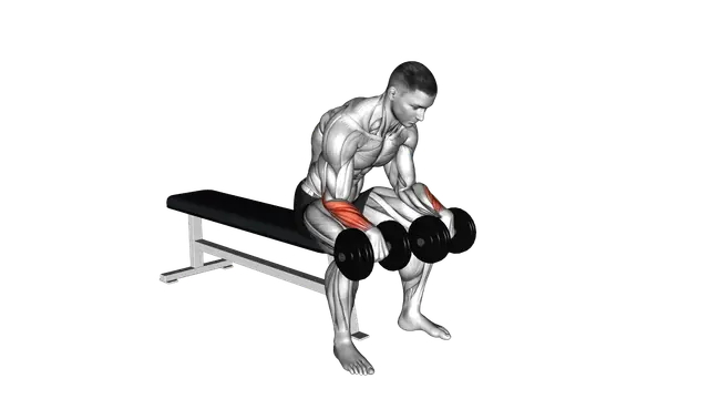 Dumbbell Reverse Wrist Curl exercise demonstration