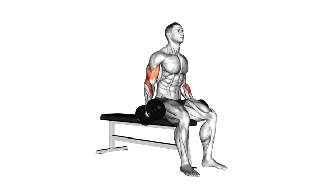 Dumbbell Seated Curl exercise demonstration
