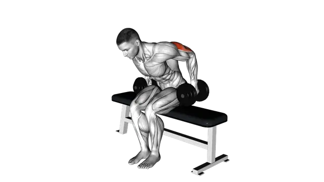 Dumbbell Seated Kickback exercise demonstration