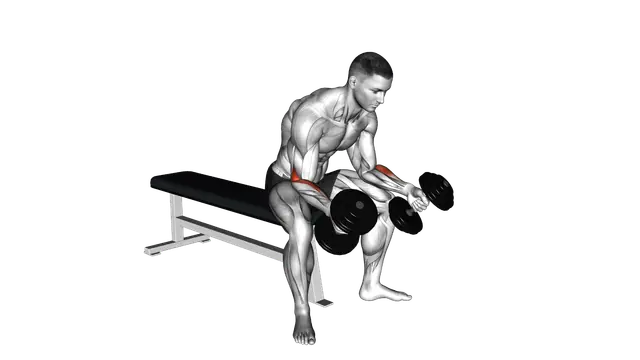 Dumbbell Seated Neutral Wrist Curl exercise demonstration