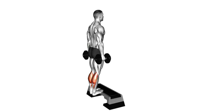 Dumbbell Standing Calf Raise exercise demonstration