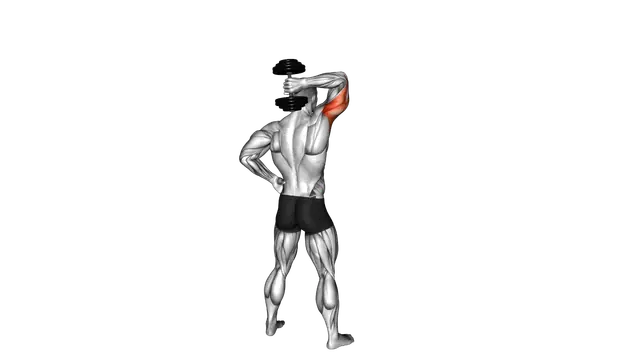 Dumbbell Standing One Arm Extension exercise demonstration