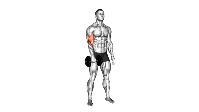 Dumbbell Standing One Arm Reverse Curl exercise demonstration