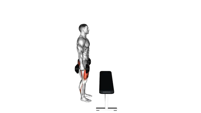 Dumbbell Step up exercise demonstration