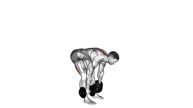 Dumbbell Straight Leg Deadlift exercise demonstration
