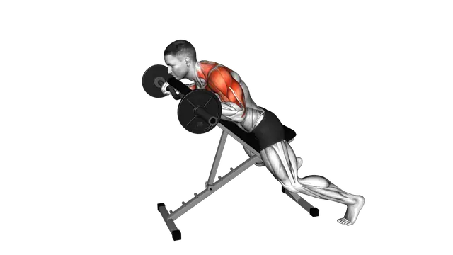 EZ Barbell Anti Gravity Press exercise demonstration