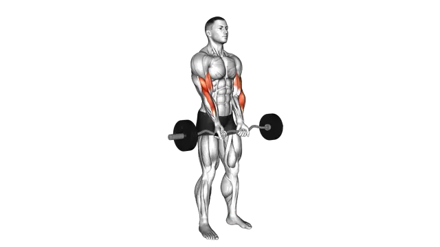 EZ Barbell Close grip Curl exercise demonstration