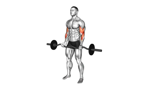 EZ Barbell Curl exercise demonstration
