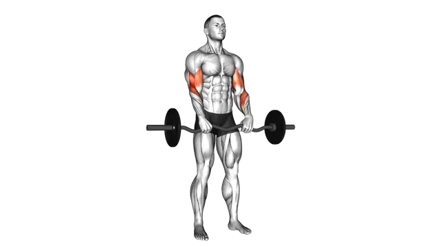 EZ Barbell Reverse Grip Curl exercise demonstration